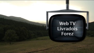 logo weblivFor